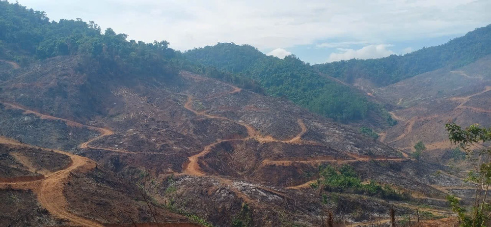 - Ảnh 3. - Ảnh 3.