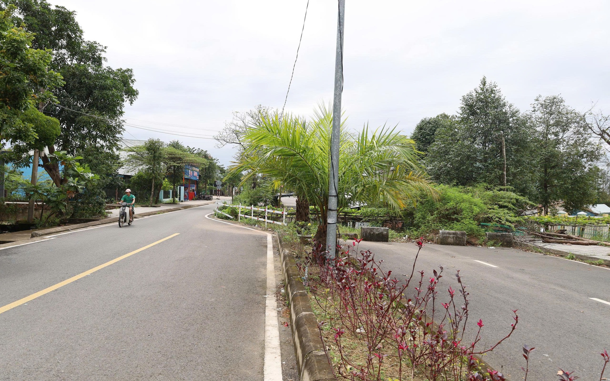 Triệt phá đường dây tội phạm nguy hiểm ở Đà Nẵng - Ảnh 2.