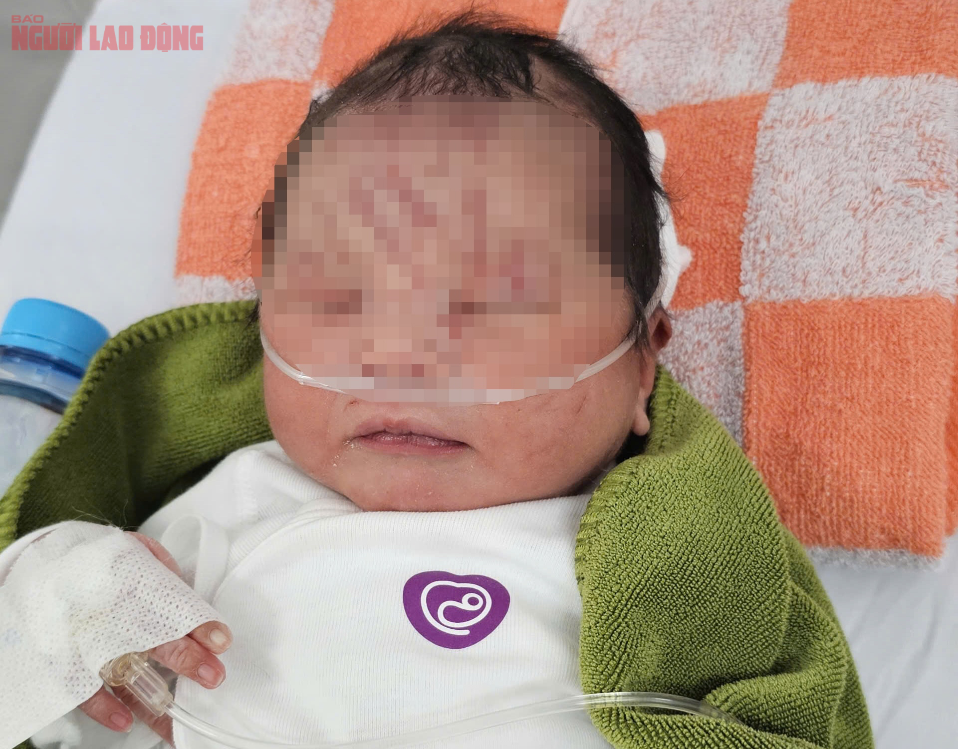 Bé sơ sinh bị chôn sống trong vườn cao su được phát hiện kịp thời cứu sống - Ảnh 1.