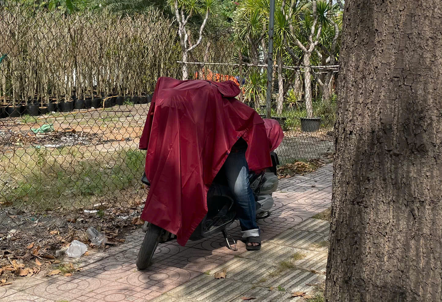 Phát hiện người đàn ông gục chết trên xe máy tại TPHCM gây sốc cho người dân - Ảnh 1.