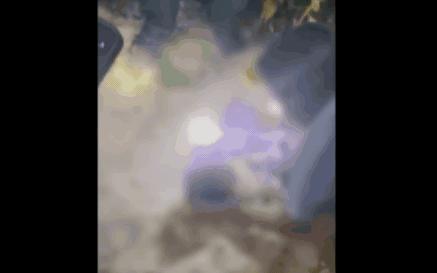 Thông tin mới về bé sơ sinh bị vùi lấp ở Gia Lai - Ảnh 2.