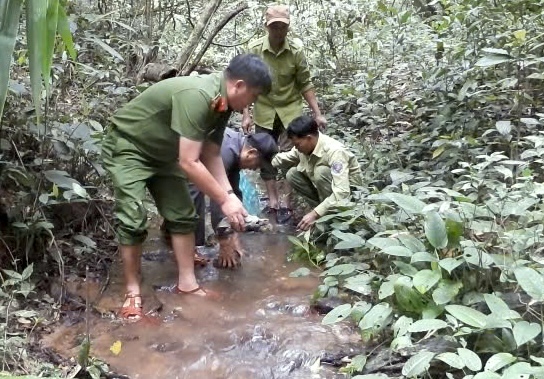 CLIP: Thả rùa vàng và nhiều động vật quý hiếm về rừng - Ảnh 1.