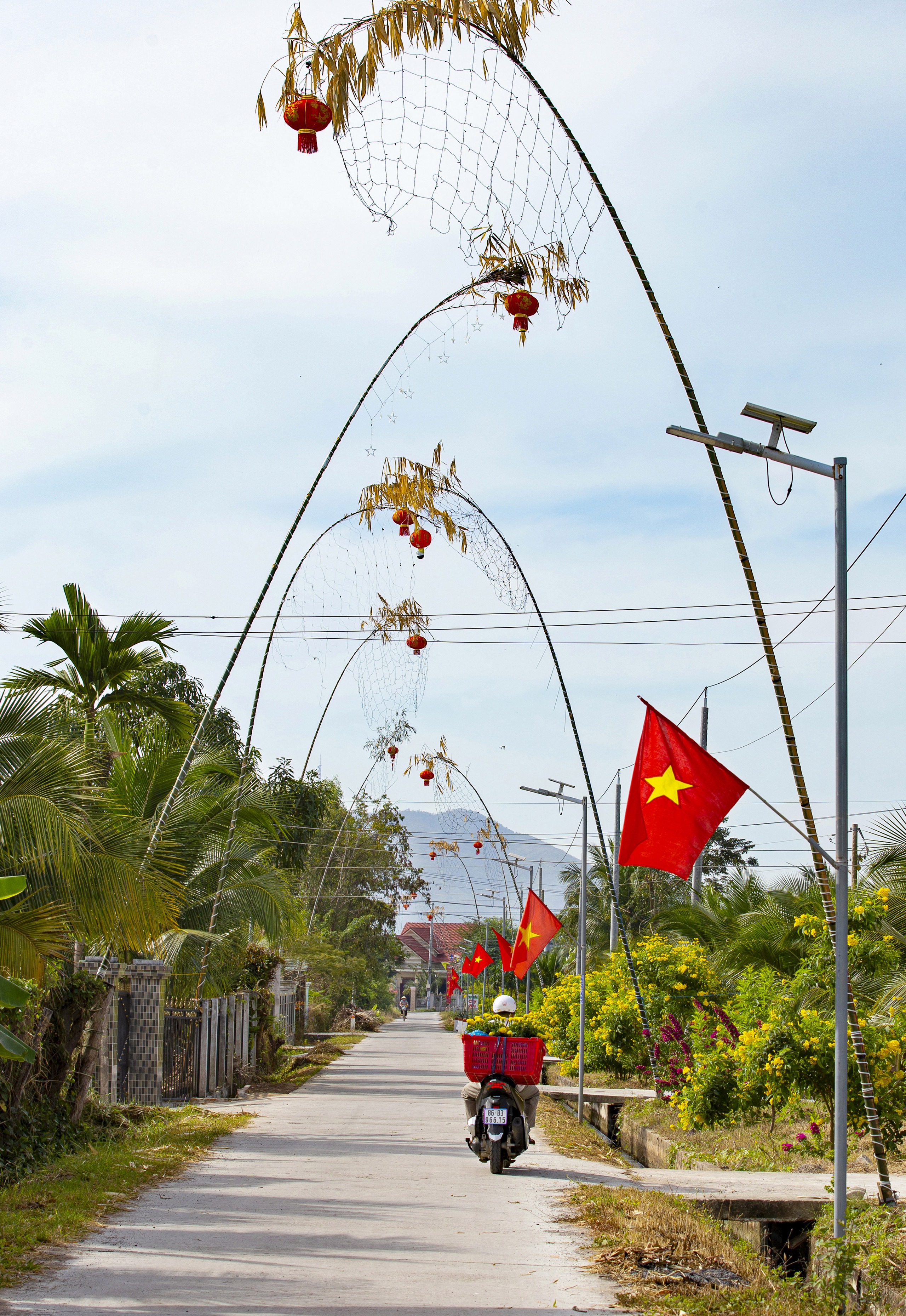 Đỏ thắm đường xuân. Ảnh: TRẦN PHƯỚC THẢO