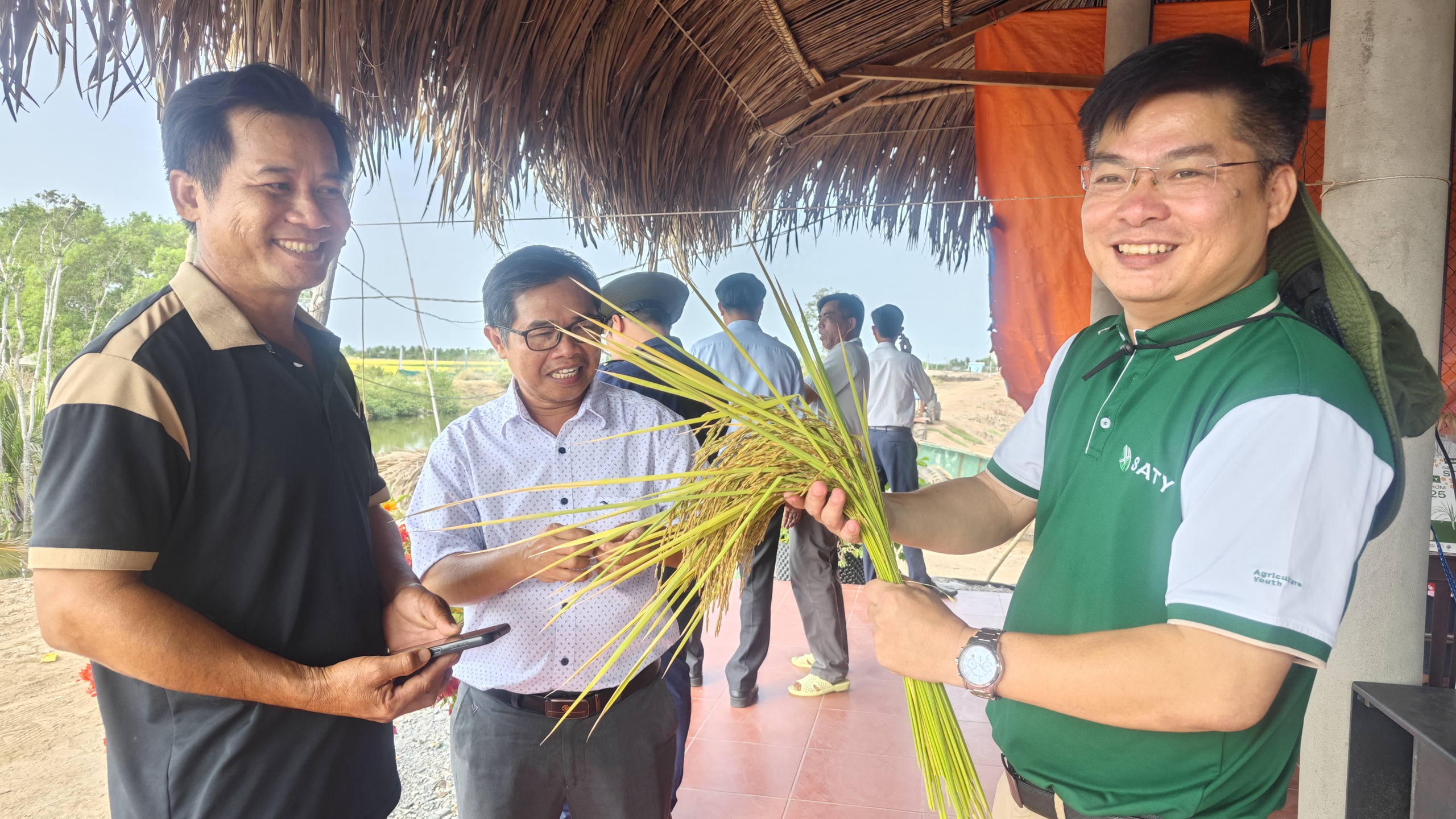 Nông dân trồng lúa tím vỡ òa niềm vui khi lãi chưa từng có- Ảnh 2.