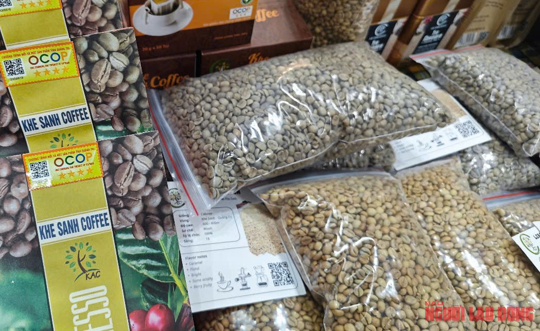 Giá cà phê hôm nay 11-2: Arabica tăng mạnh như “sóng thần”- Ảnh 1.