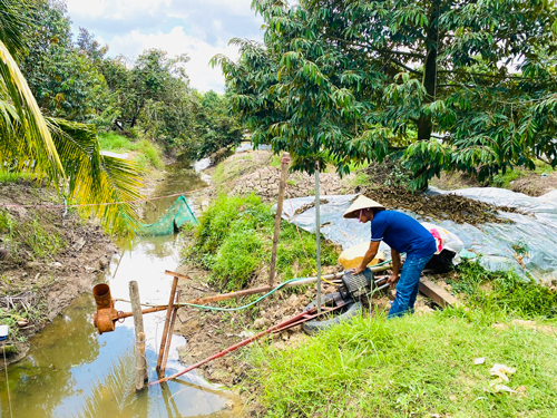 Nông dân ĐBSCL tranh thủ lấy nước ngọt để sản xuất nông nghiệp sau Tết  Ảnh: HOÀNG VŨ