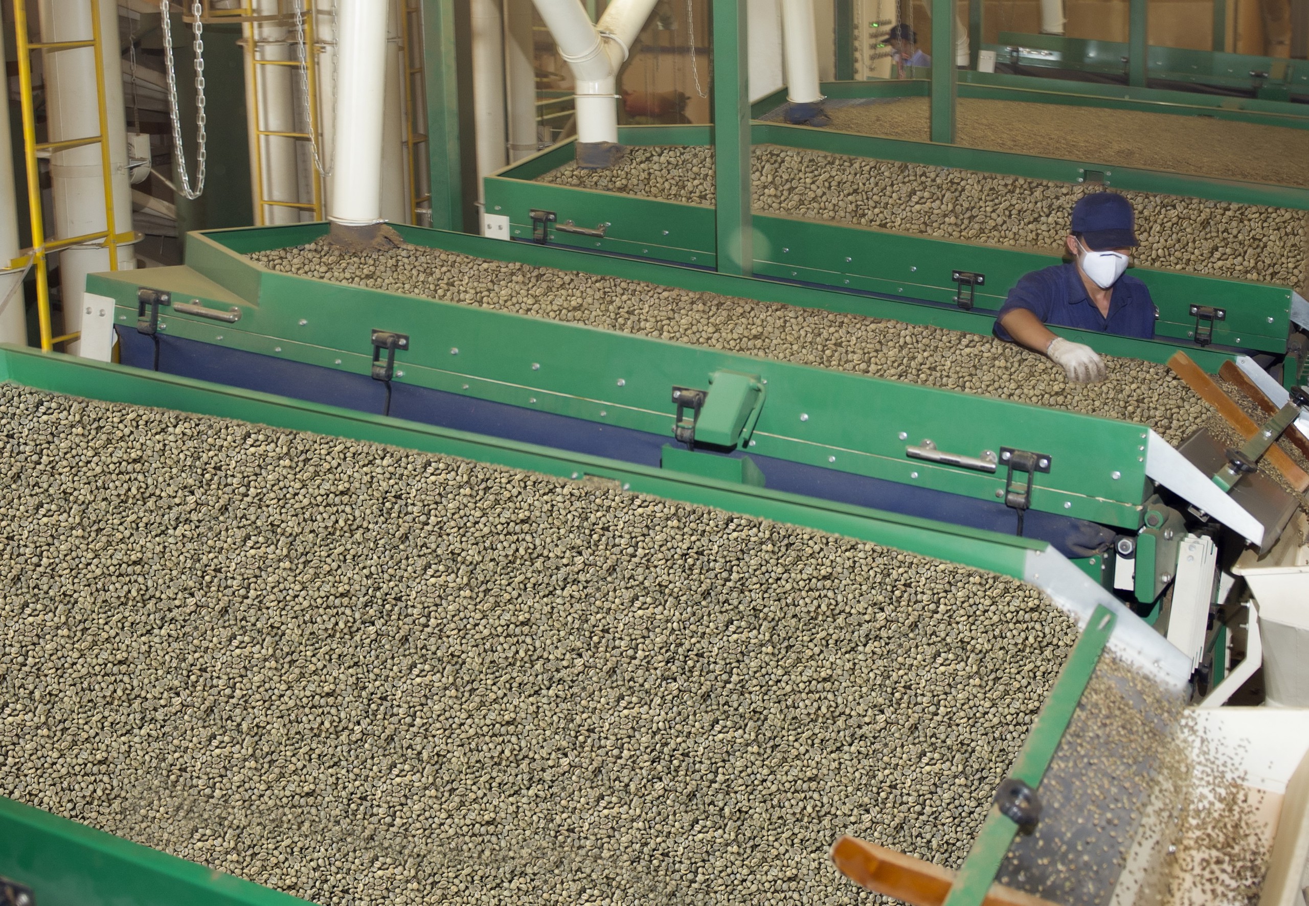 Giá cà phê hôm nay 21-2: Arabica và Robusta cùng giảm mạnh- Ảnh 1. Giá cà phê hôm nay 21-2: Arabica và Robusta cùng giảm mạnh- Ảnh 1.