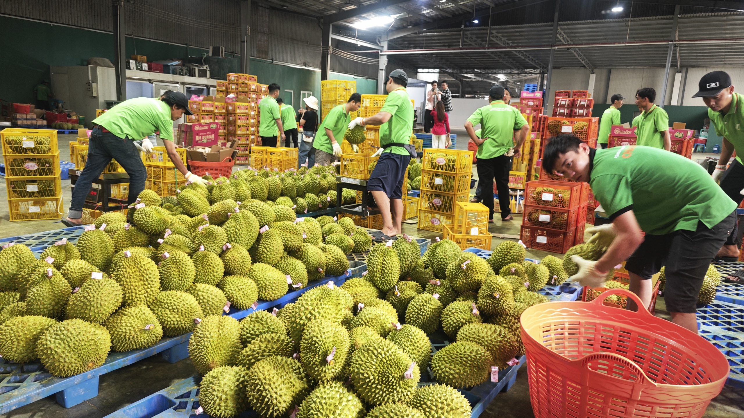 Lời giải cho mật khẩu xuất khẩu