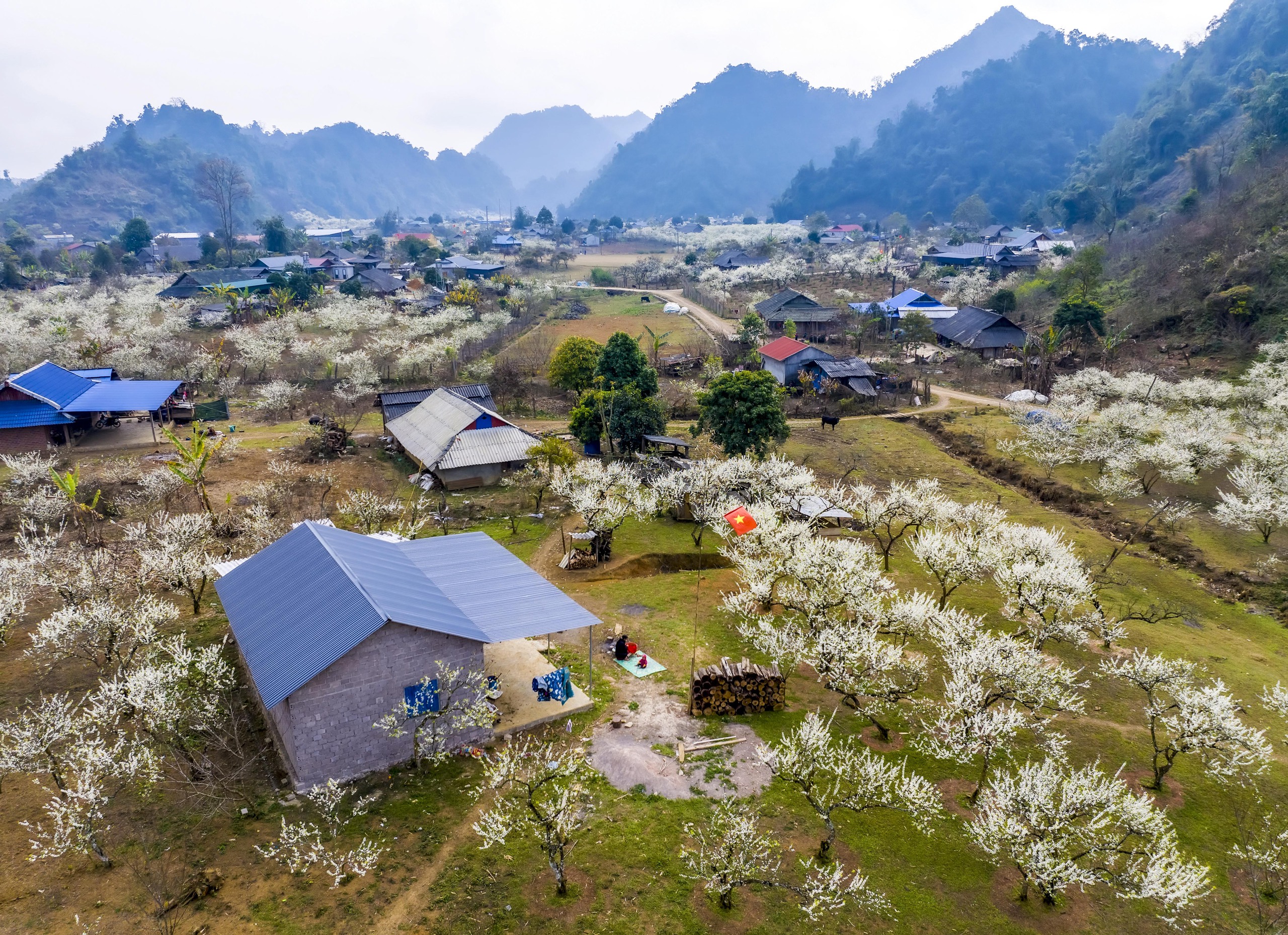 Dưới bóng Cờ Tổ quốc. Ảnh: NGUYỄN VIỆT HỒNG