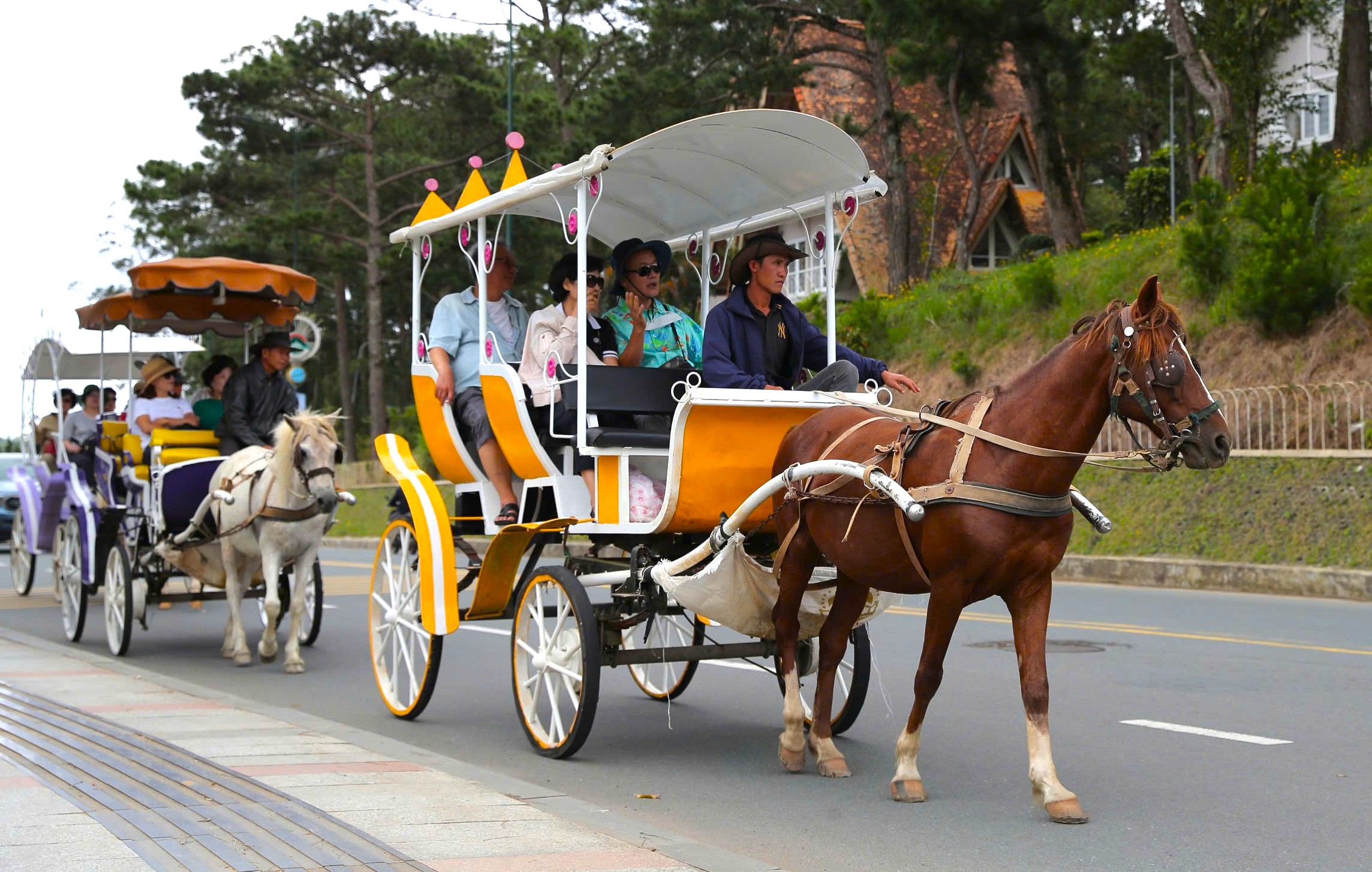 Dalat hovoří o zastavení tramvají a koňských povozů v okolí jezera Xuan Huong - Foto 2. Đà Lạt nói về việc dừng xe điện, xe ngựa quanh hồ Xuân Hương- Ảnh 2.