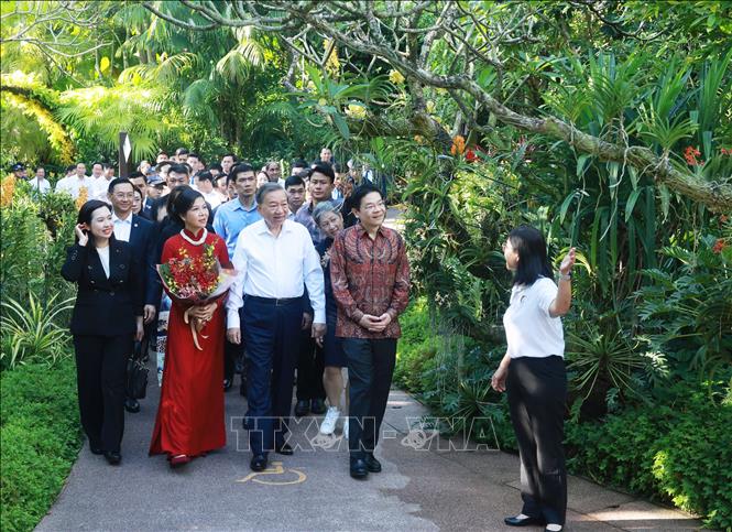 Tổng Bí thư Tô Lâm và Phu nhân dự Lễ đặt tên hoa lan tại Vườn thực vật Singapore- Ảnh 2.