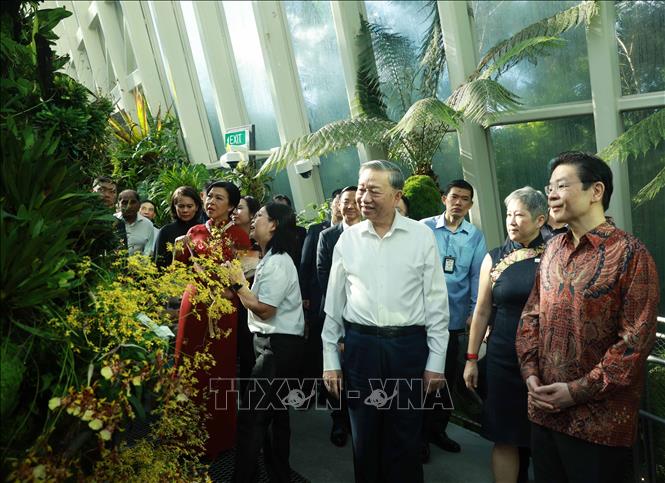 Tổng Bí thư Tô Lâm và Phu nhân dự Lễ đặt tên hoa lan tại Vườn thực vật Singapore- Ảnh 9.