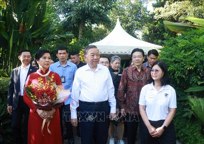 Tổng Bí thư Tô Lâm và Phu nhân dự Lễ đặt tên hoa lan tại Vườn thực vật Singapore- Ảnh 1.