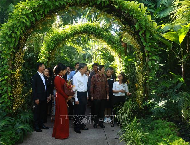 Tổng Bí thư Tô Lâm và Phu nhân dự Lễ đặt tên hoa lan tại Vườn thực vật Singapore- Ảnh 3.