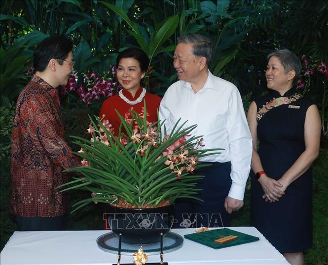 Tổng Bí thư Tô Lâm và Phu nhân dự Lễ đặt tên hoa lan tại Vườn thực vật Singapore- Ảnh 4.