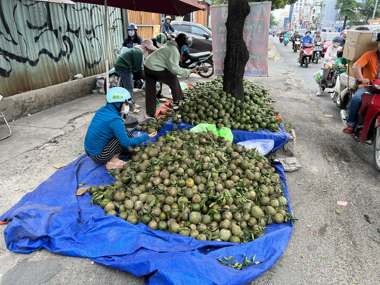 Cam sành được "giải cứu" tại TP HCM- Ảnh 3.