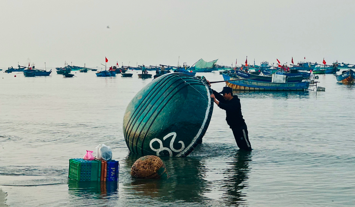 Đà Nẵng: Ruốc biển khan hiếm, hơn 7 triệu đồng/tạ vẫn không có mà mua- Ảnh 4.