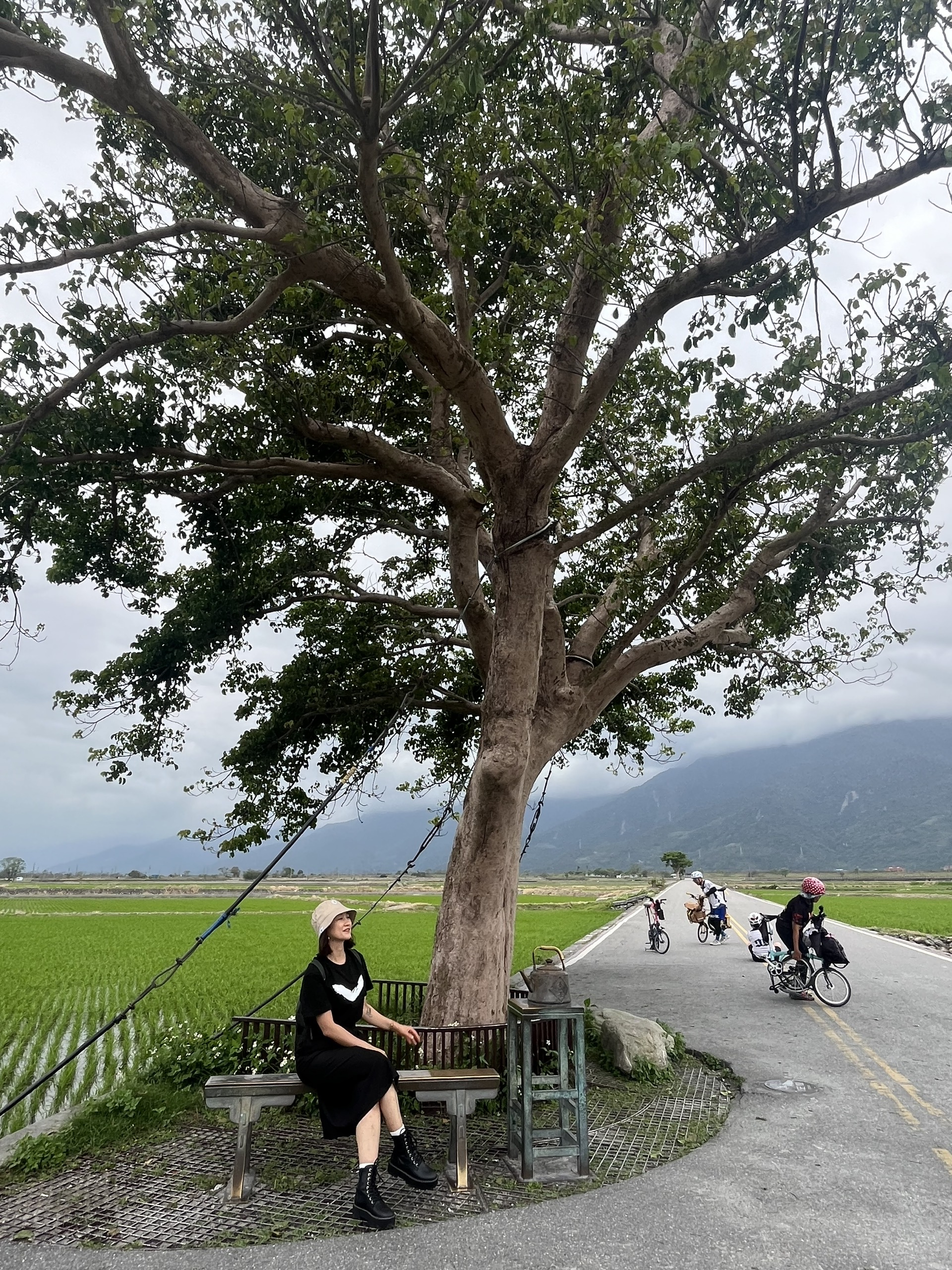 Check-in na árvore solitária que leva o nome do astro Kim Thanh Vu - Foto 5. Check-in cây cô đơn mang tên siêu sao Kim Thành Vũ- Ảnh 5.