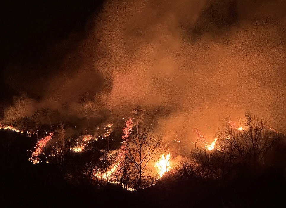 Wildfires burn trees on a mountain in Sancheong County in South Gyeongsang Province on March 21, 2025, in this photo provided by the Korea Forest Service. (PHOTO NOT FOR SALE) (Yonhap)