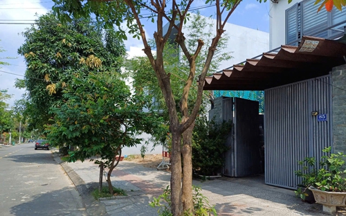 Cơ quan thuế cảnh báo nguy cơ tạm hoãn xuất cảnh do nợ thuế - Ảnh 2.