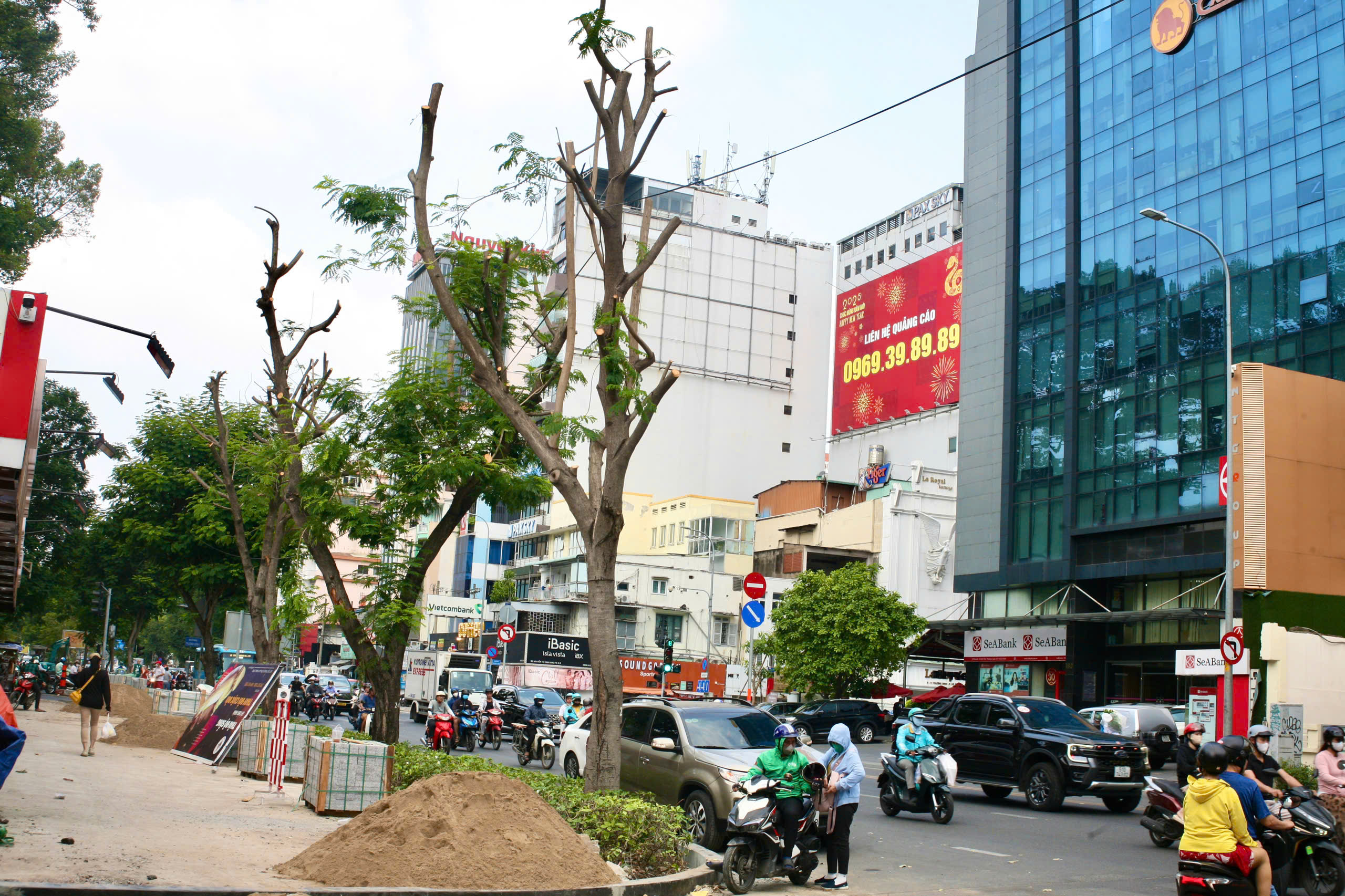 TP HCM: Quận 1 "giải thích" vụ đốn hạ, cắt tán 17 cây xanh- Ảnh 3. TP HCM: Quận 1 "giải thích" vụ đốn hạ, cắt tán 17 cây xanh- Ảnh 3.