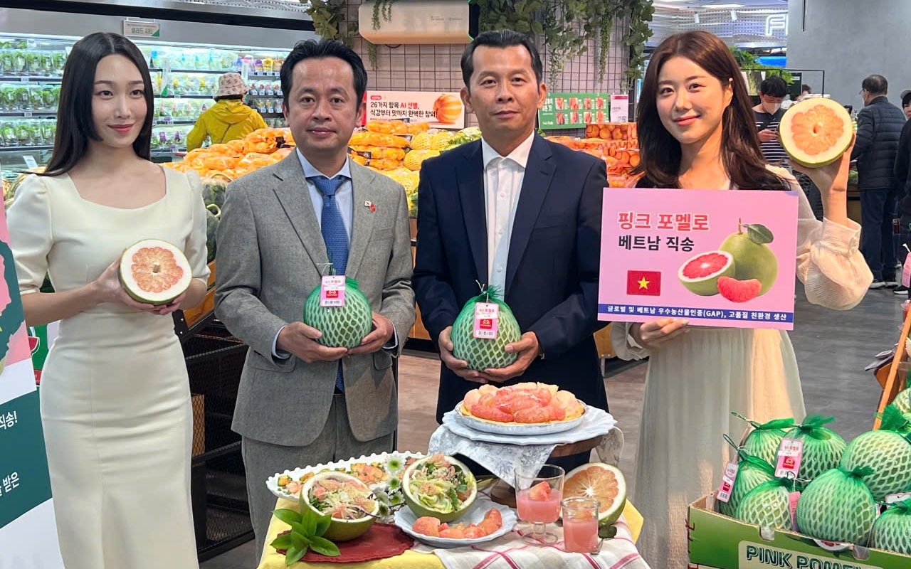 Trái bưởi Việt Nam chính thức xuất khẩu sang Úc: Cơ hội mới cho nông sản - Ảnh 2.