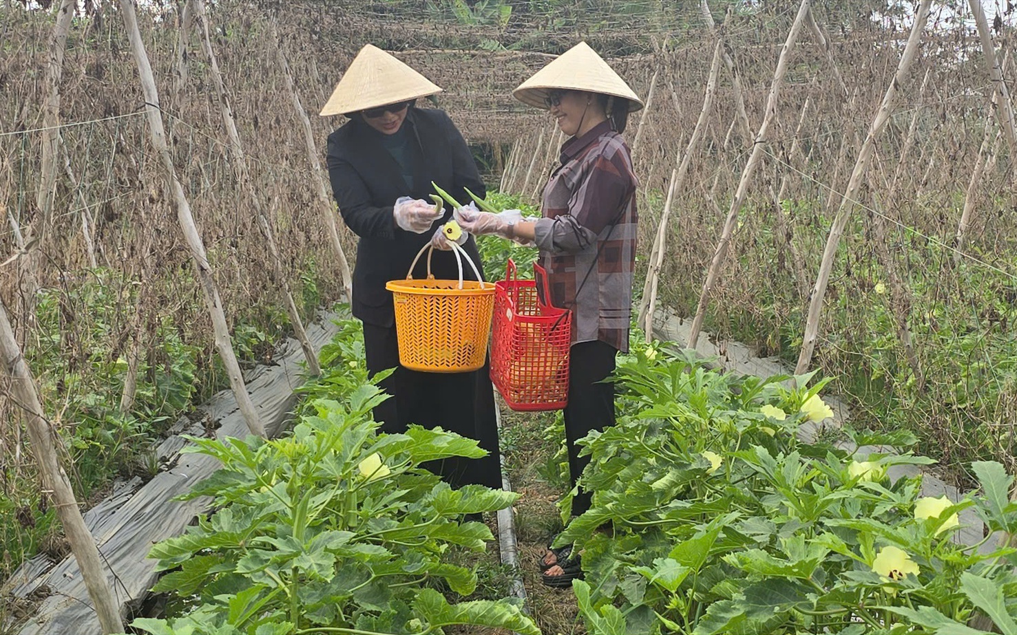 Lãnh đạo VWS: “Người lao động khỏe mạnh sẽ tạo nên một tập thể vững mạnh” - Ảnh 6.