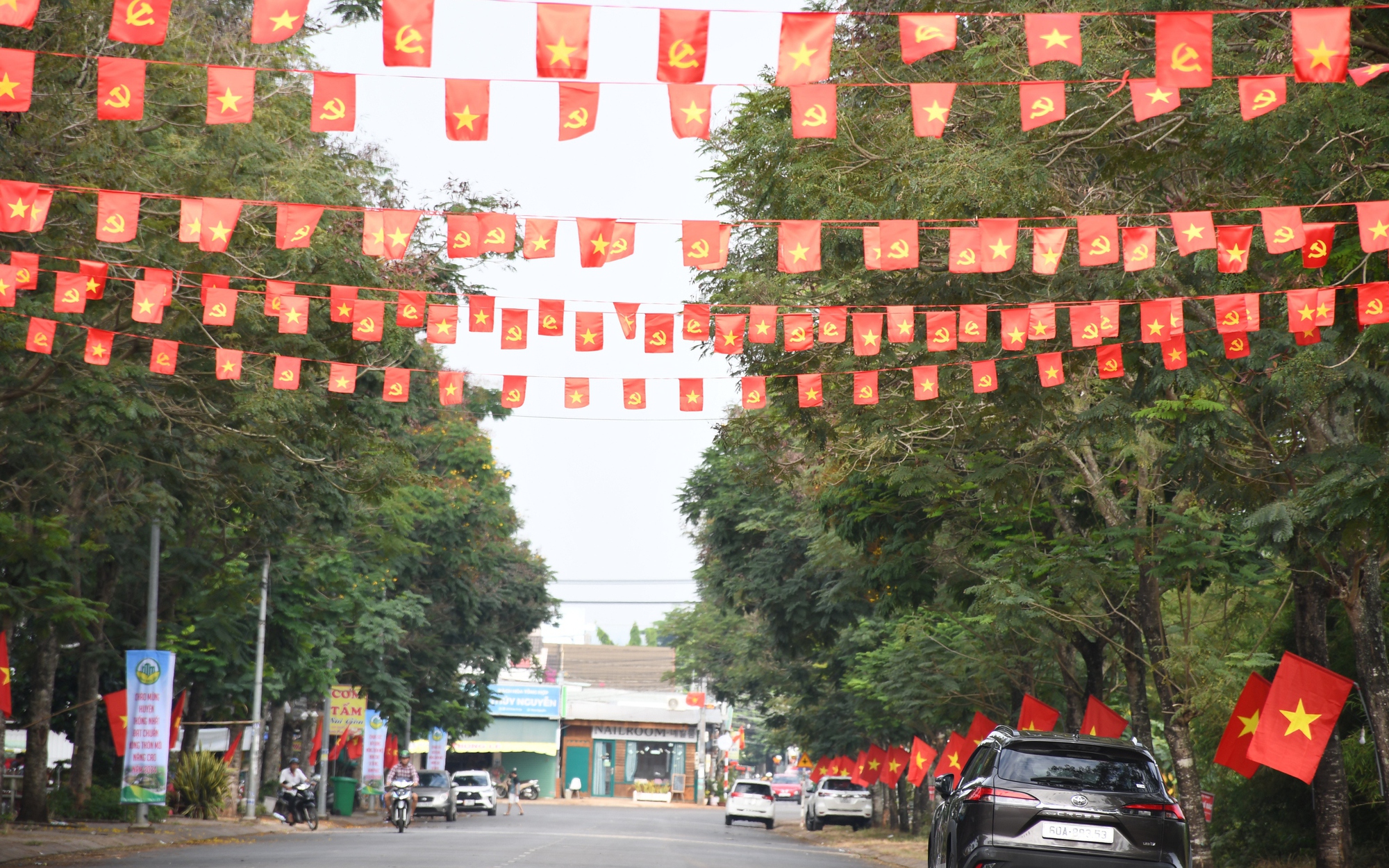 Đồng Nai có thêm tuyến “Đường cờ Tổ quốc” - Ảnh 5.