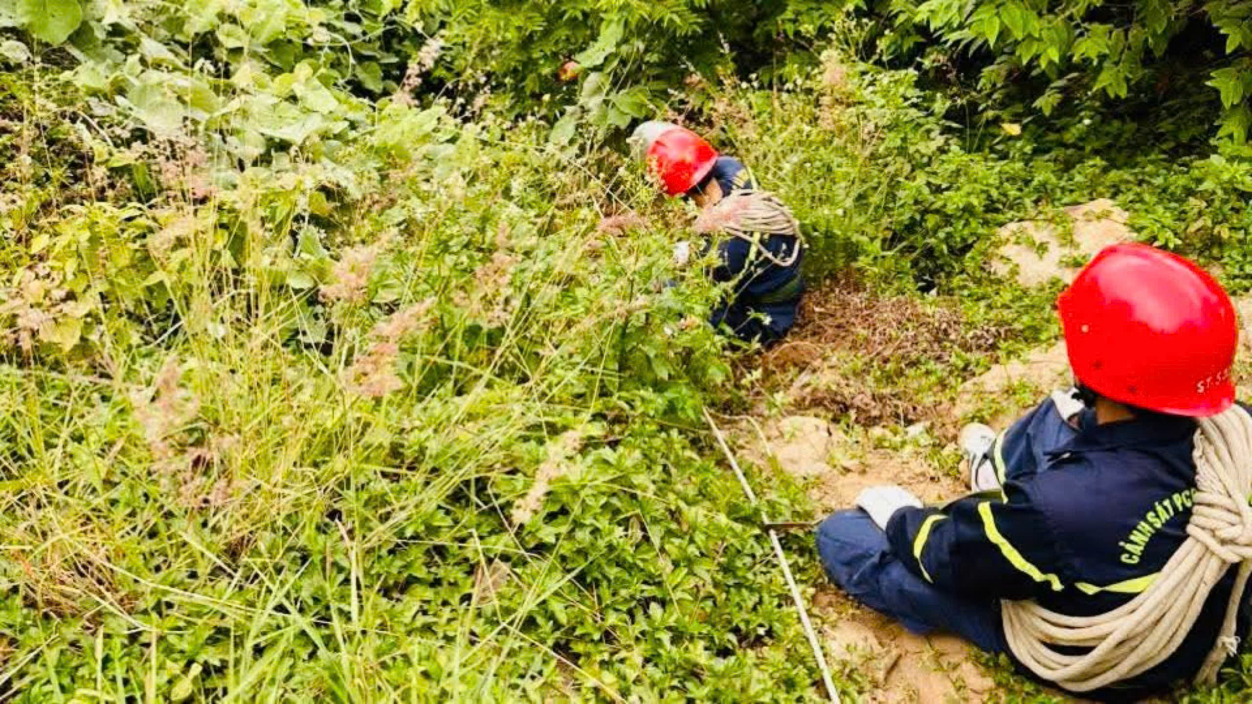 Đà Nẵng: Tìm thấy du khách nước ngoài đã tử vong dưới vực sâu bán đảo Sơn Trà- Ảnh 2. Đà Nẵng: Tìm thấy du khách nước ngoài đã tử vong dưới vực sâu bán đảo Sơn Trà- Ảnh 2.