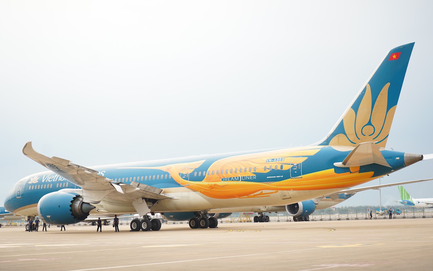 Nguyên nhân Vietnam Airlines sơn hình chim Lạc lên 