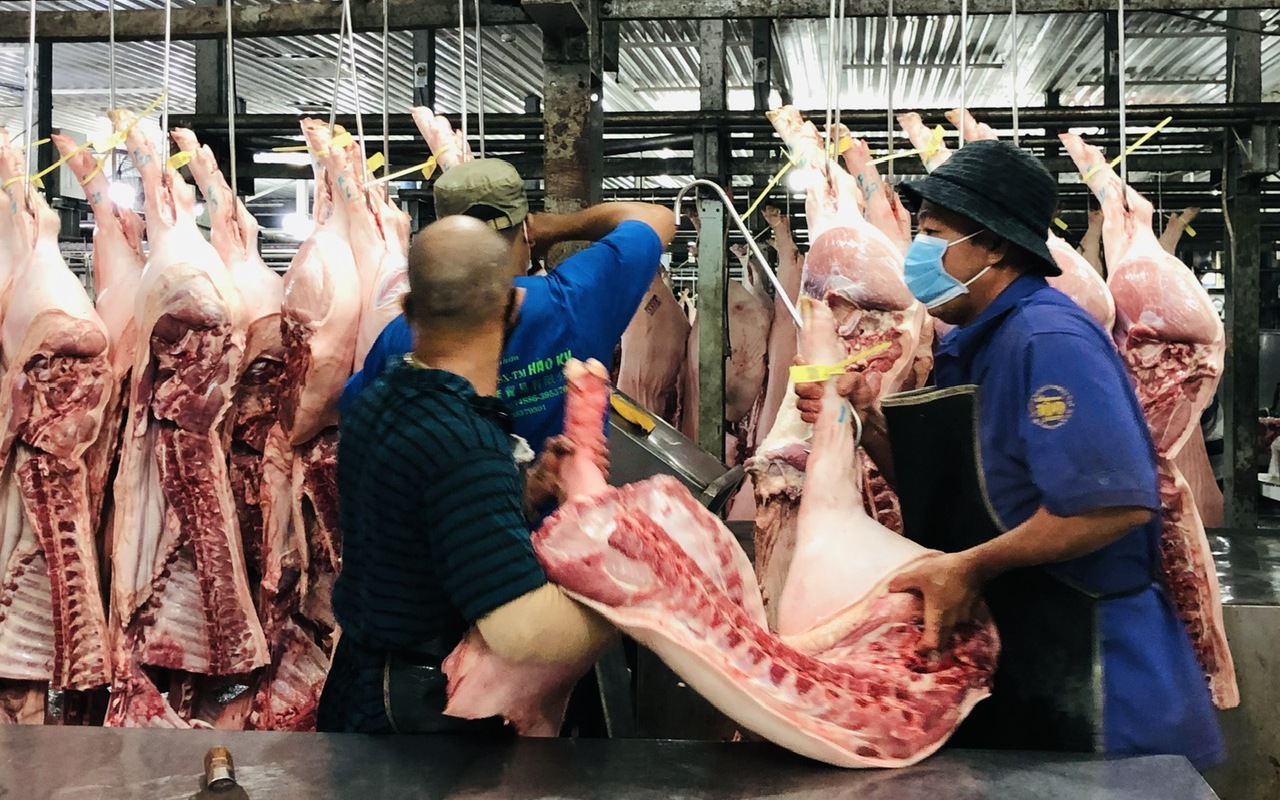 Giá heo hơi hôm nay 1-5: Ổn định trong kỳ nghỉ lễ - Ảnh 2.