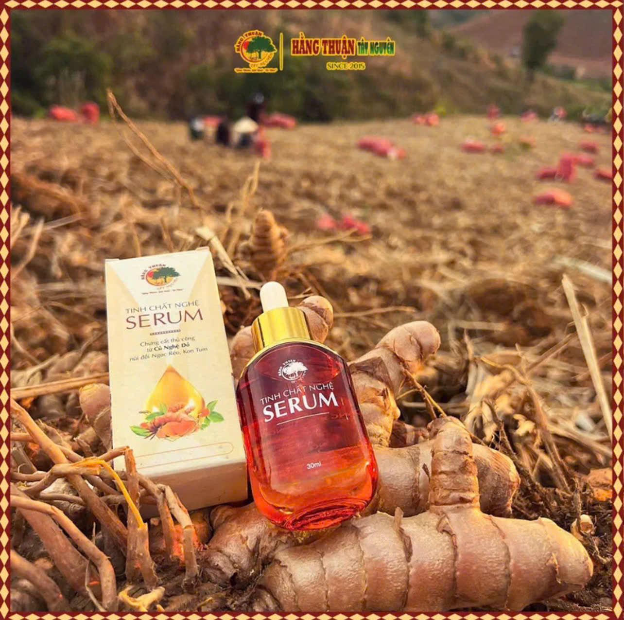Hằng Thuận Tây Nguyên: Serum tinh chất nghệ - giải pháp chăm sóc da từ thiên nhiên- Ảnh 2. Hằng Thuận Tây Nguyên: Serum tinh chất nghệ - giải pháp chăm sóc da từ thiên nhiên- Ảnh 2.
