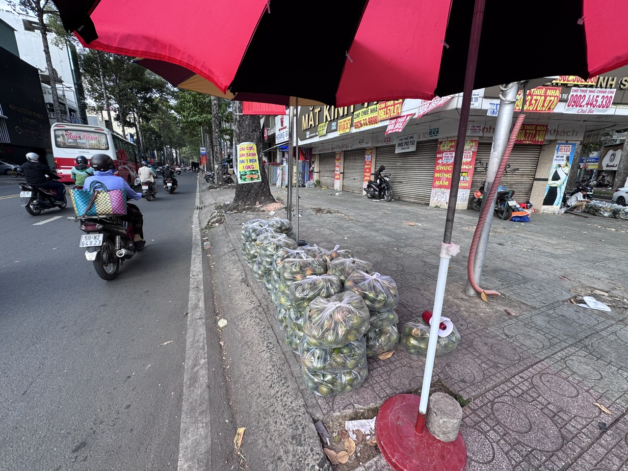 Nắng nóng, cam sành giải cứu tăng giá - Ảnh 1.