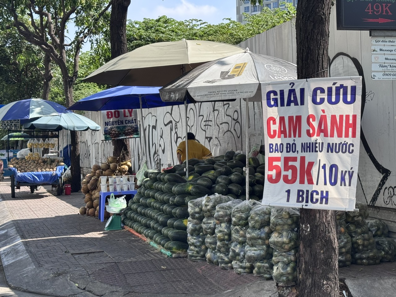 Nắng nóng, cam sành giải cứu tăng giá - Ảnh 3.