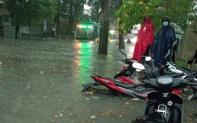 Bé 10 tuổi bị cây rơi trúng đầu, mưa ngập: Chủ tịch UBND TP HCM ra chỉ đạo - Ảnh 2.