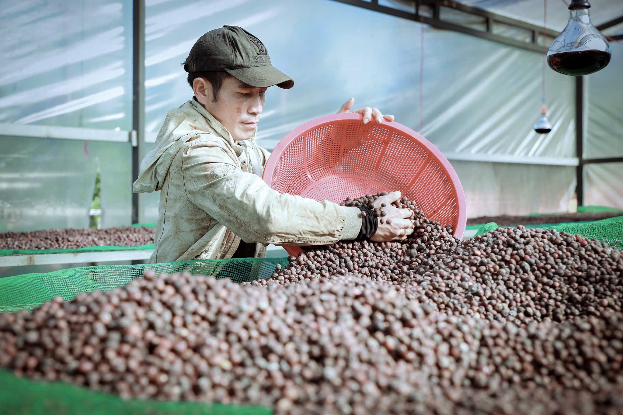 Giữ vị thế cho cà phê Việt (*): Đầu tư vào nội lực- Ảnh 1. Giữ vị thế cho cà phê Việt (*): Đầu tư vào nội lực- Ảnh 1.