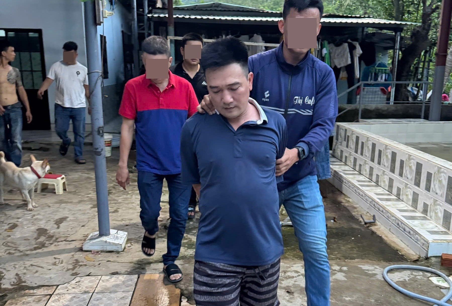 Bí mật của một trại nuôi gà nằm ở vùng ven Đà Nẵng- Ảnh 1. Bí mật của một trại nuôi gà nằm ở vùng ven Đà Nẵng- Ảnh 1.