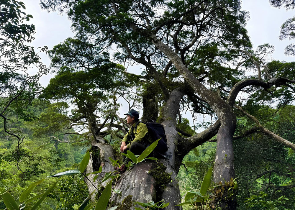 Những kho báu ở Phong Nha - Kẻ Bàng - Ảnh 3. Những kho báu ở Phong Nha - Kẻ Bàng - Ảnh 3.