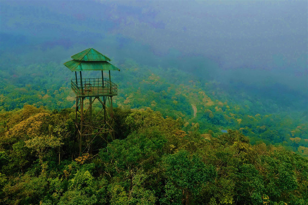 Những kho báu ở Phong Nha - Kẻ Bàng - Ảnh 1.
