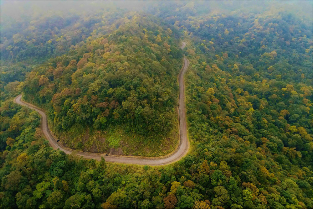 Những kho báu ở Phong Nha - Kẻ Bàng - Ảnh 2. Những kho báu ở Phong Nha - Kẻ Bàng - Ảnh 2.