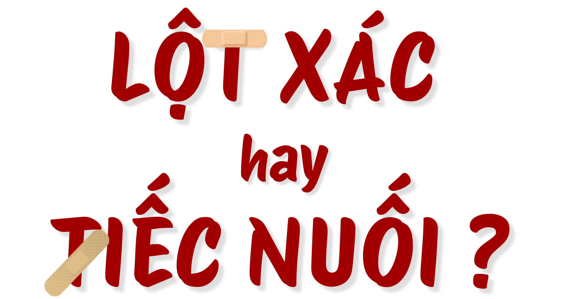 Sự thay đổi của ngôi sao - Ảnh 1.