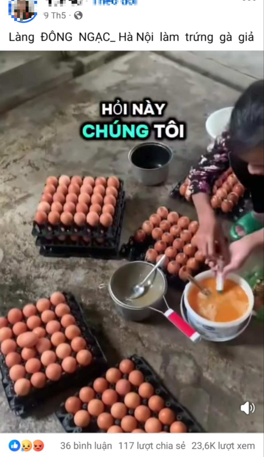 Hiệp hội Gia cầm Việt Nam lên tiếng về thông tin Hiệp hội Gia cầm Việt Nam lên tiếng về thông tin