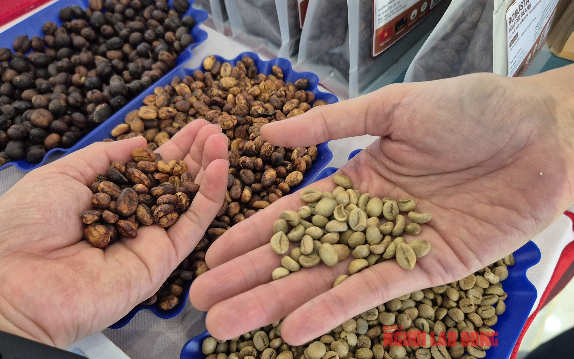 Giá cà phê hôm nay 20-5: lấy lại đà tăng, kỳ hạn Robusta tăng ba con số- Ảnh 1.