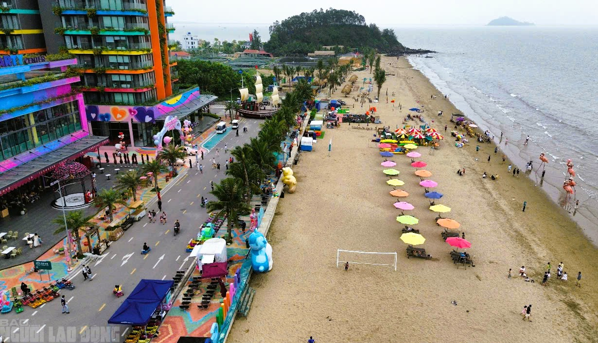 Cảnh khó tin ở bãi biển nổi tiếng ở Thanh Hóa- Ảnh 13. Cảnh khó tin ở bãi biển nổi tiếng ở Thanh Hóa- Ảnh 13.