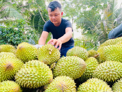 Báo in ngày 22-5 Chuyện khó tin nhưng có thật ở Đắk Lắk - Ảnh 2.