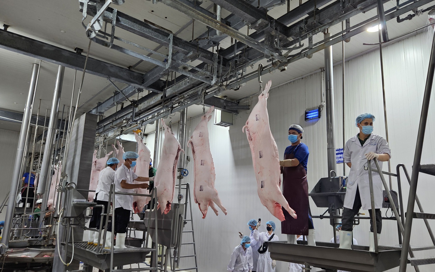 Giá heo hơi hôm nay 22-5: miền Nam cao hơn các khu vực khác 5.000 đồng - 8.000 đồng/kg  - Ảnh 2.