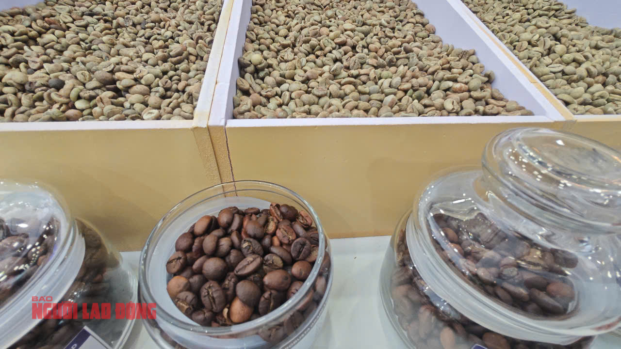 Giá cà phê hôm nay 23-5: Bốc hơi mạnh 3 con số- Ảnh 1. Giá cà phê hôm nay 23-5: Bốc hơi mạnh 3 con số- Ảnh 1.