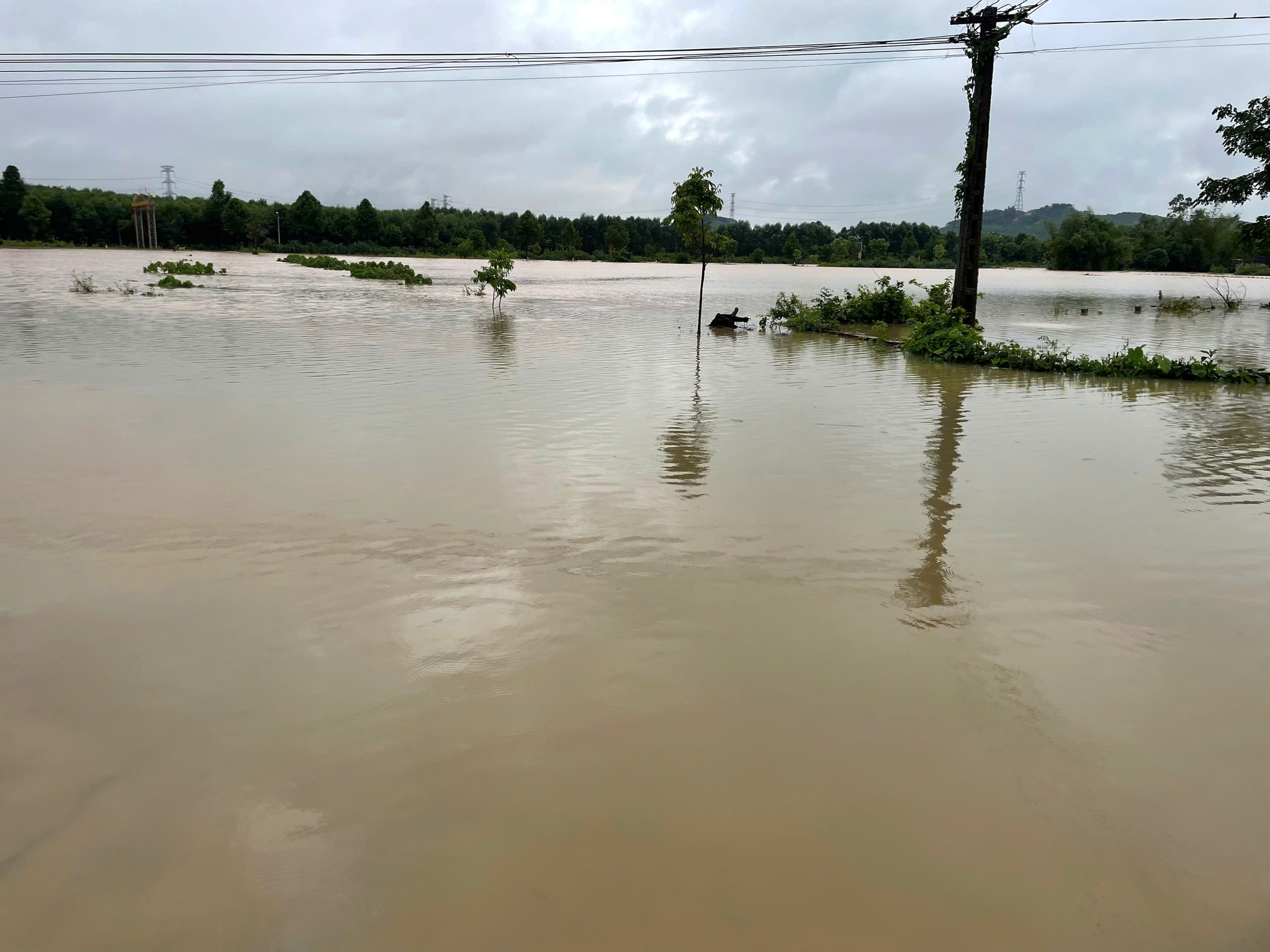 Nước lên nhanh, người dân Hà Tĩnh tất tả chạy lũ trong đêm- Ảnh 4. Nước lên nhanh, người dân Hà Tĩnh tất tả chạy lũ trong đêm- Ảnh 4.
