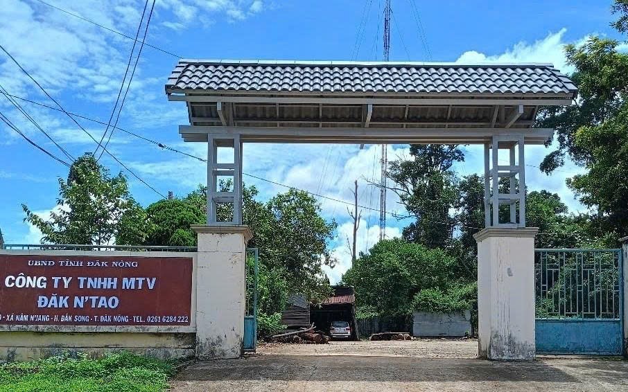 Xử l&yacute; nghi&ecirc;m đối tượng ch&eacute;m nh&acirc;n vi&ecirc;n bảo vệ rừng tại Đồng Nai - Ảnh 2.