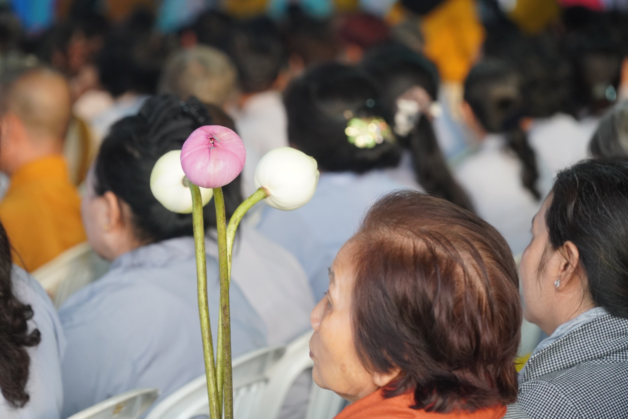 Hàng ngàn phật tử xếp hàng chờ chiêm bái Xá lợi Đức Phật ở Bình Chánh - Ảnh 4. Hàng ngàn phật tử xếp hàng chờ chiêm bái Xá lợi Đức Phật ở Bình Chánh - Ảnh 4.